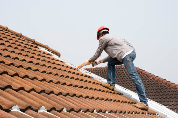 Best Rubber Roofing (EPDM, TPO)  in Versailles, MO
