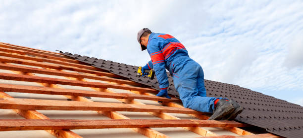 Best Steel Roofing  in Versailles, MO
